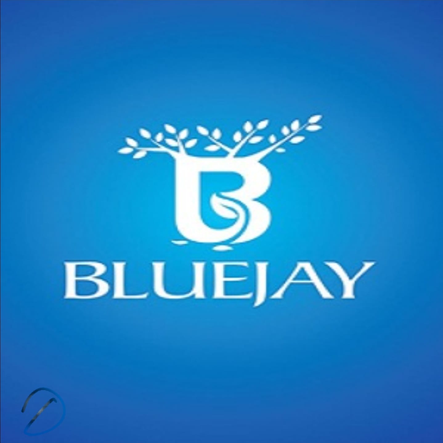 Bluejay-Aston-img